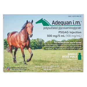 Horse Rx Joint